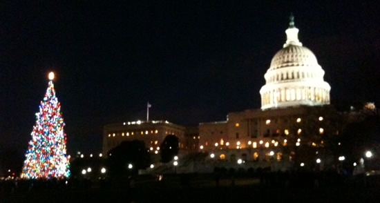 Capitol Christmas Tree